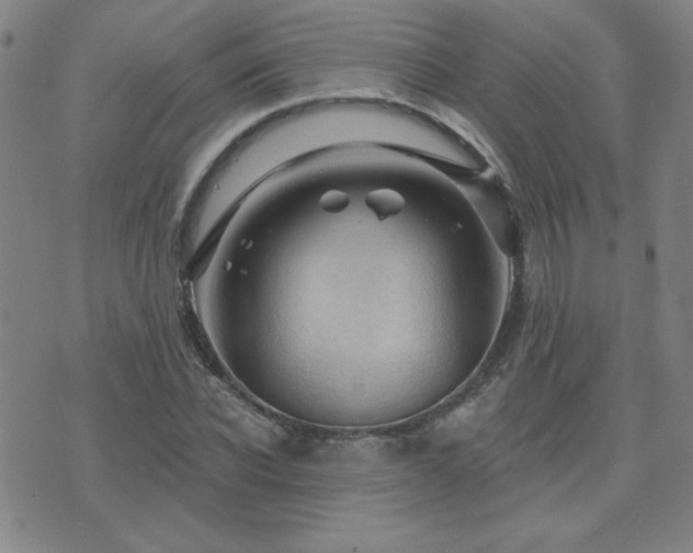 X0000071850926200606301333