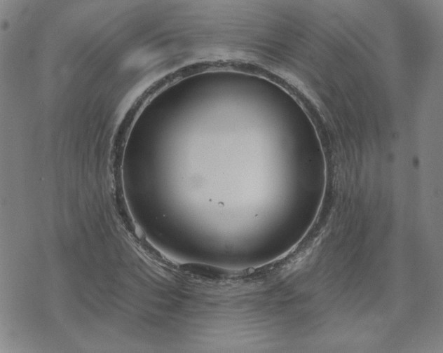 X0000071850927200606301333