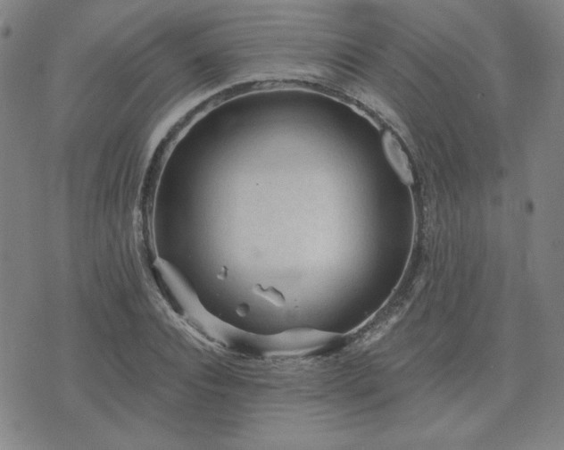 X0000071850928200606301333