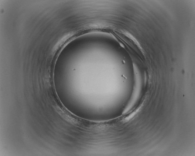 X0000071850930200606301333