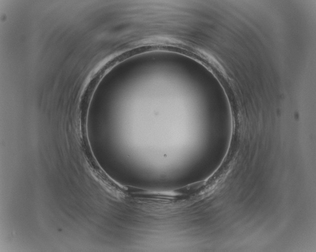 X0000071850931200606301333