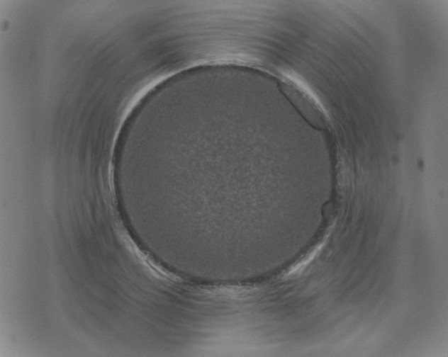 X0000071850932200606301334