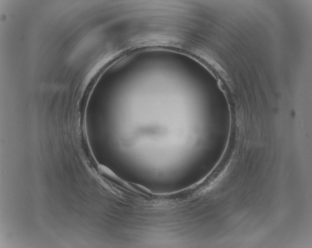 X0000071850933200606301334