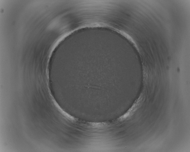 X0000071850935200606301334