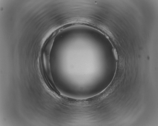 X0000071850936200606301334