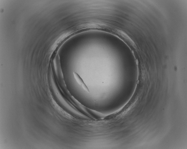 X0000071850938200606301334