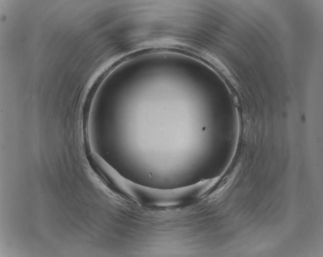 X0000071850939200606301334