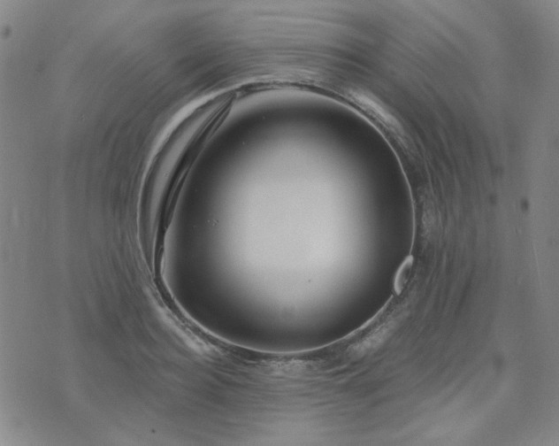 X0000071850940200606301334