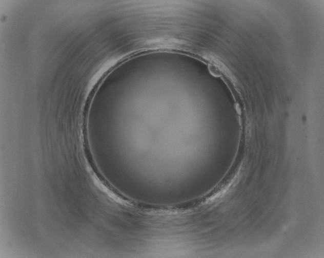 X0000071850941200606301334