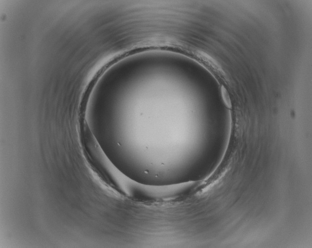 X0000071850942200606301334