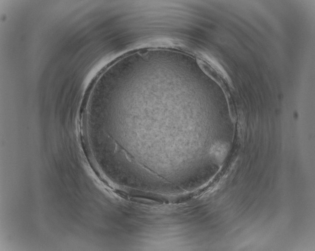 X0000071850944200606301334