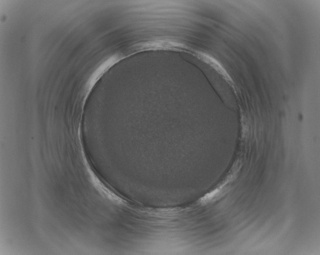 X0000071850946200606301334