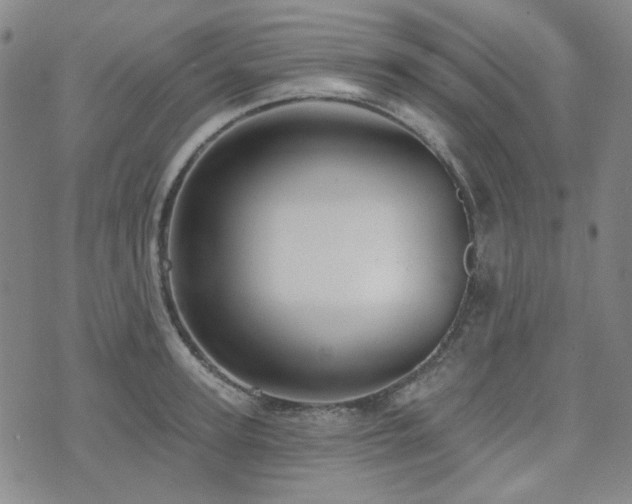 X0000071850947200606301334