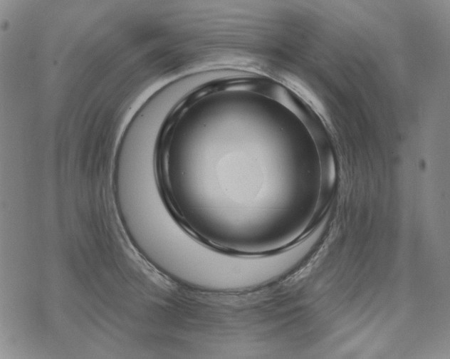 X0000071850948200606301334