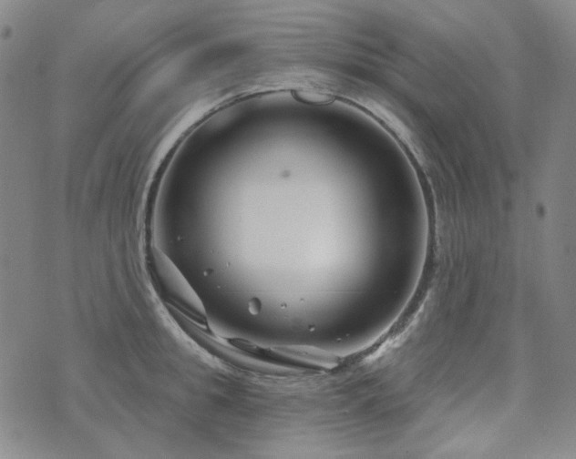 X0000071850949200606301334