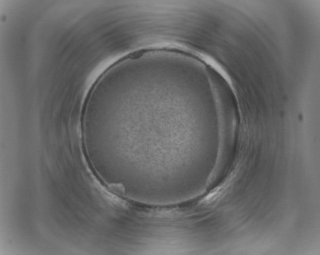 X0000071850951200606301334