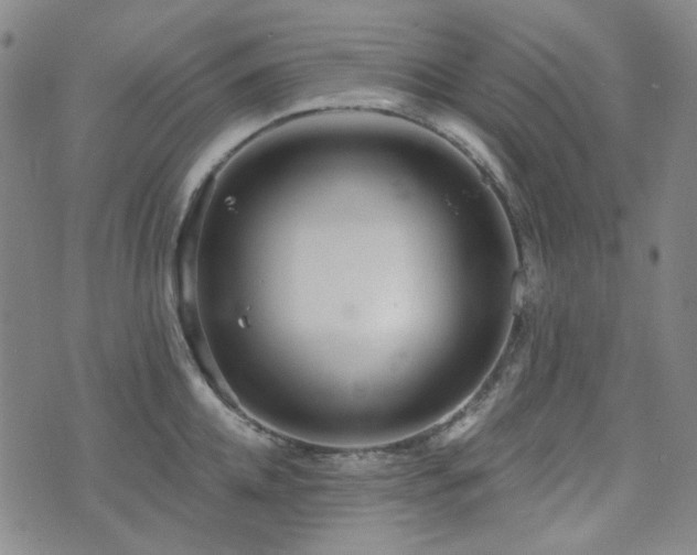 X0000071850952200606301334