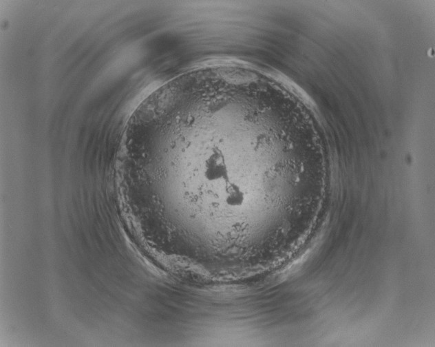 X0000071850953200606301334