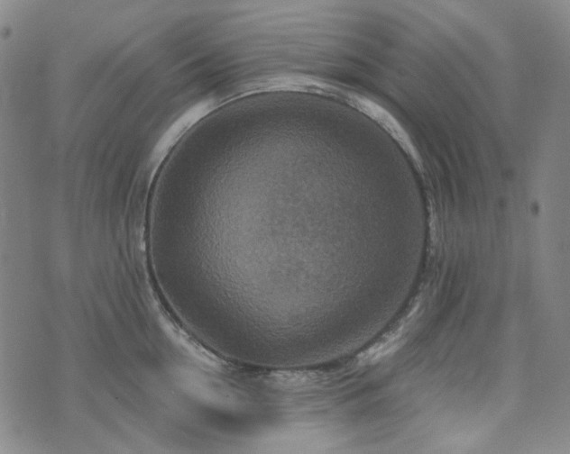 X0000071850954200606301334