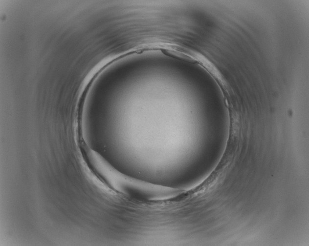 X0000071850955200606301334