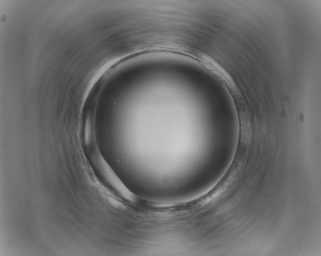 X0000071850956200606301334