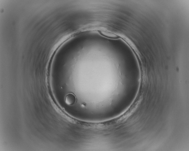 X0000071850957200606301334