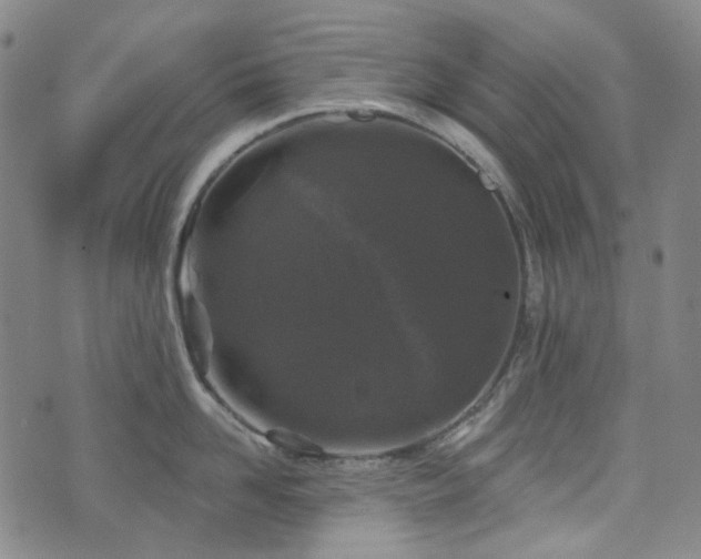 X0000071850958200606301334