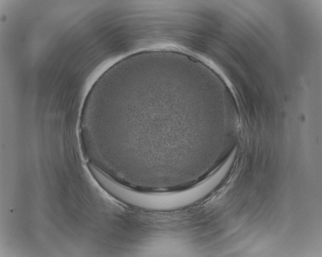 X0000071850959200606301334