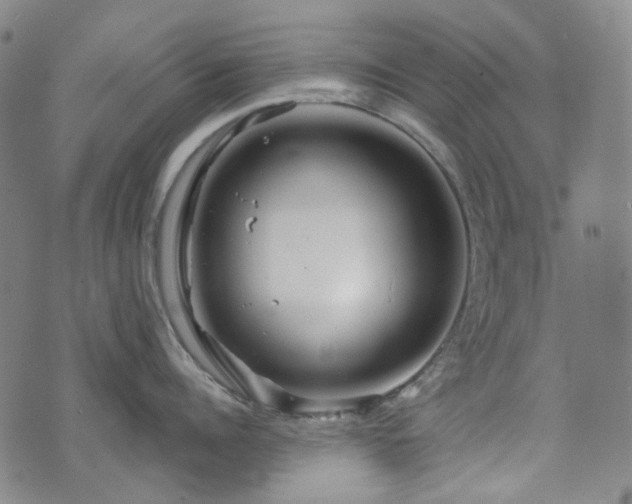 X0000071850960200606301334