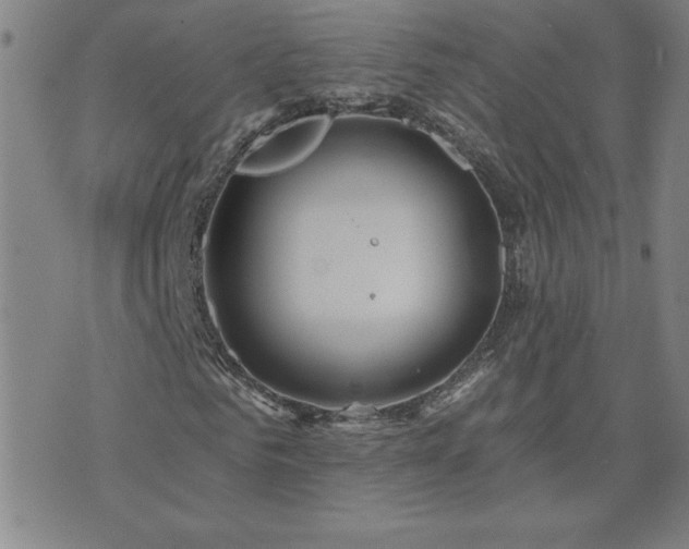 X0000071850961200606301333