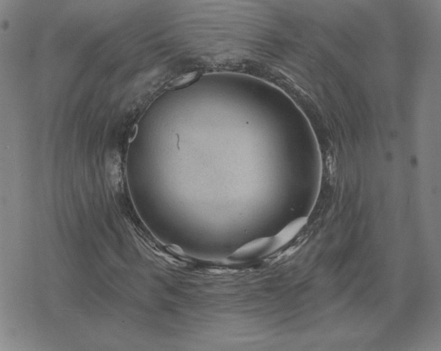 X0000071850963200606301333