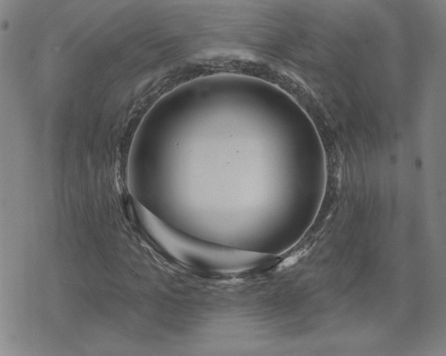 X0000071850965200606301333