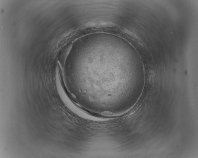 X0000071850966200606301333