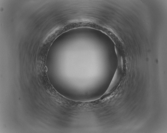 X0000071850967200606301333