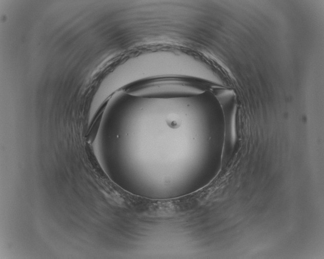 X0000071850968200606301333