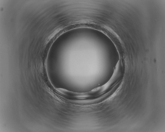 X0000071850969200606301333