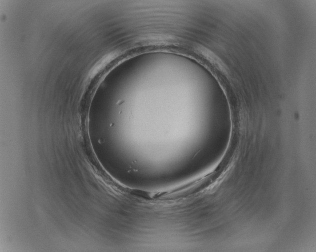 X0000071850970200606301333