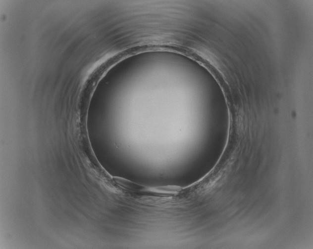 X0000071850971200606301333