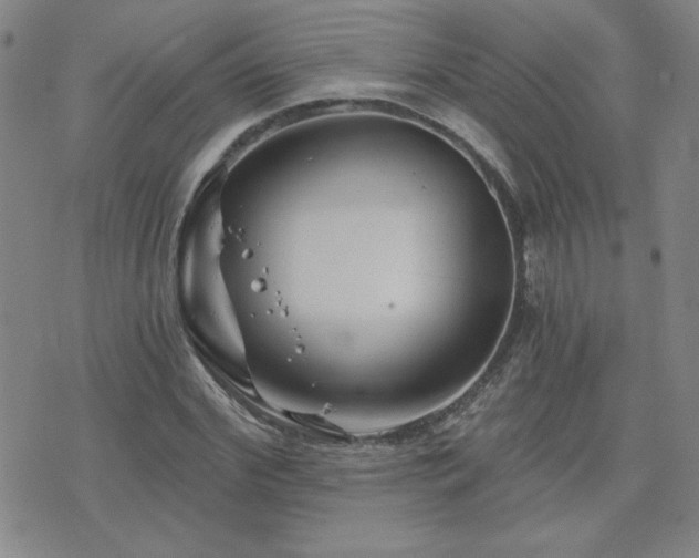 X0000071850972200606301333