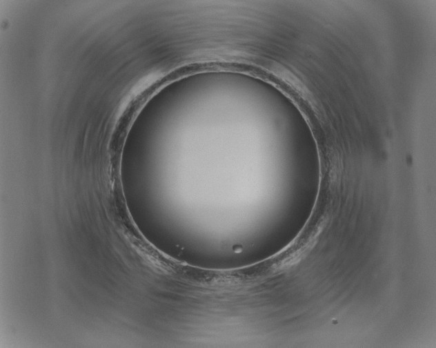 X0000071850974200606301333