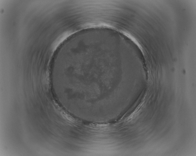 X0000071850975200606301333