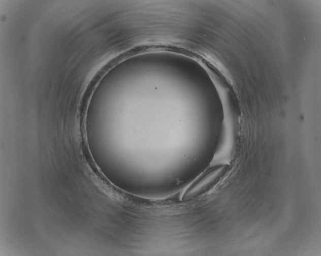 X0000071850976200606301333