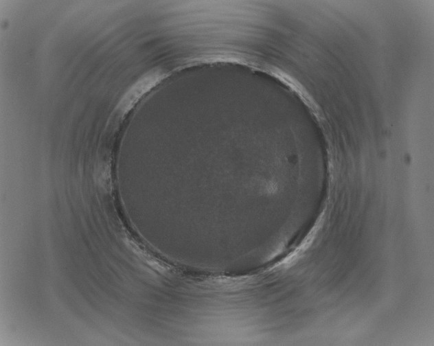 X0000071850977200606301333