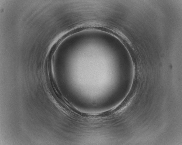 X0000071850981200606301333