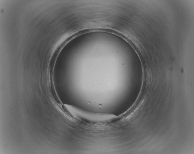 X0000071850982200606301333