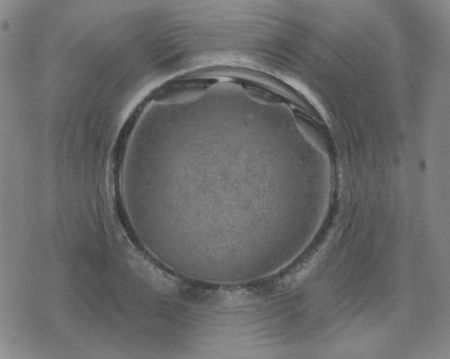 X0000071850983200606301333