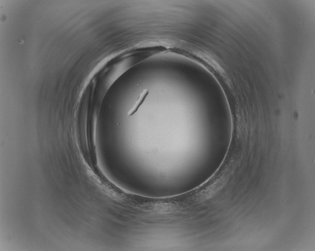 X0000071850984200606301333