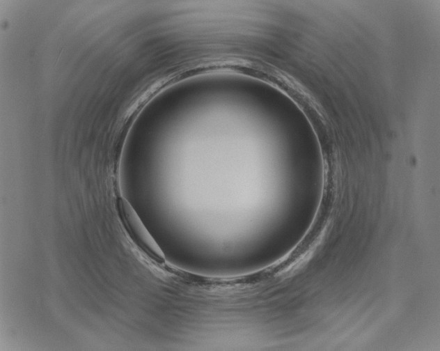 X0000071850985200606301333