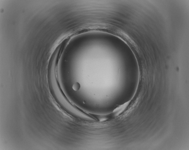 X0000071850986200606301333