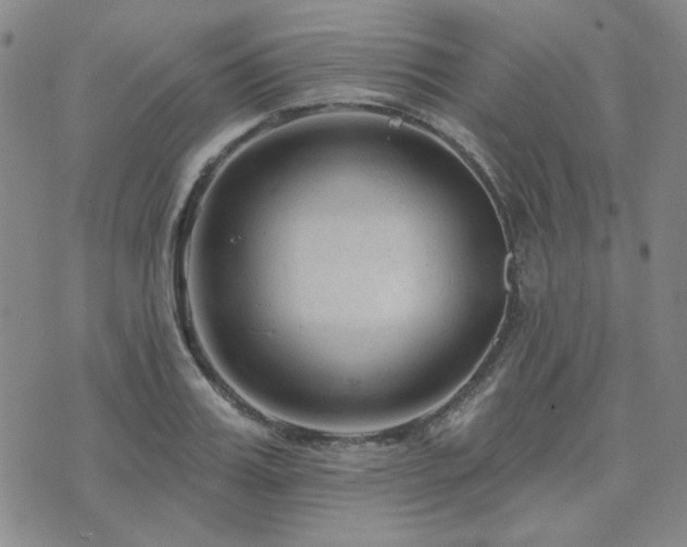 X0000071850987200606301333